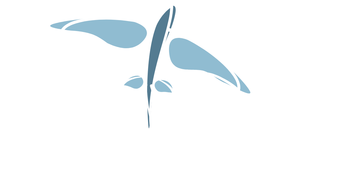 peixe voador